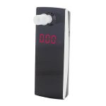 Dingo_A055